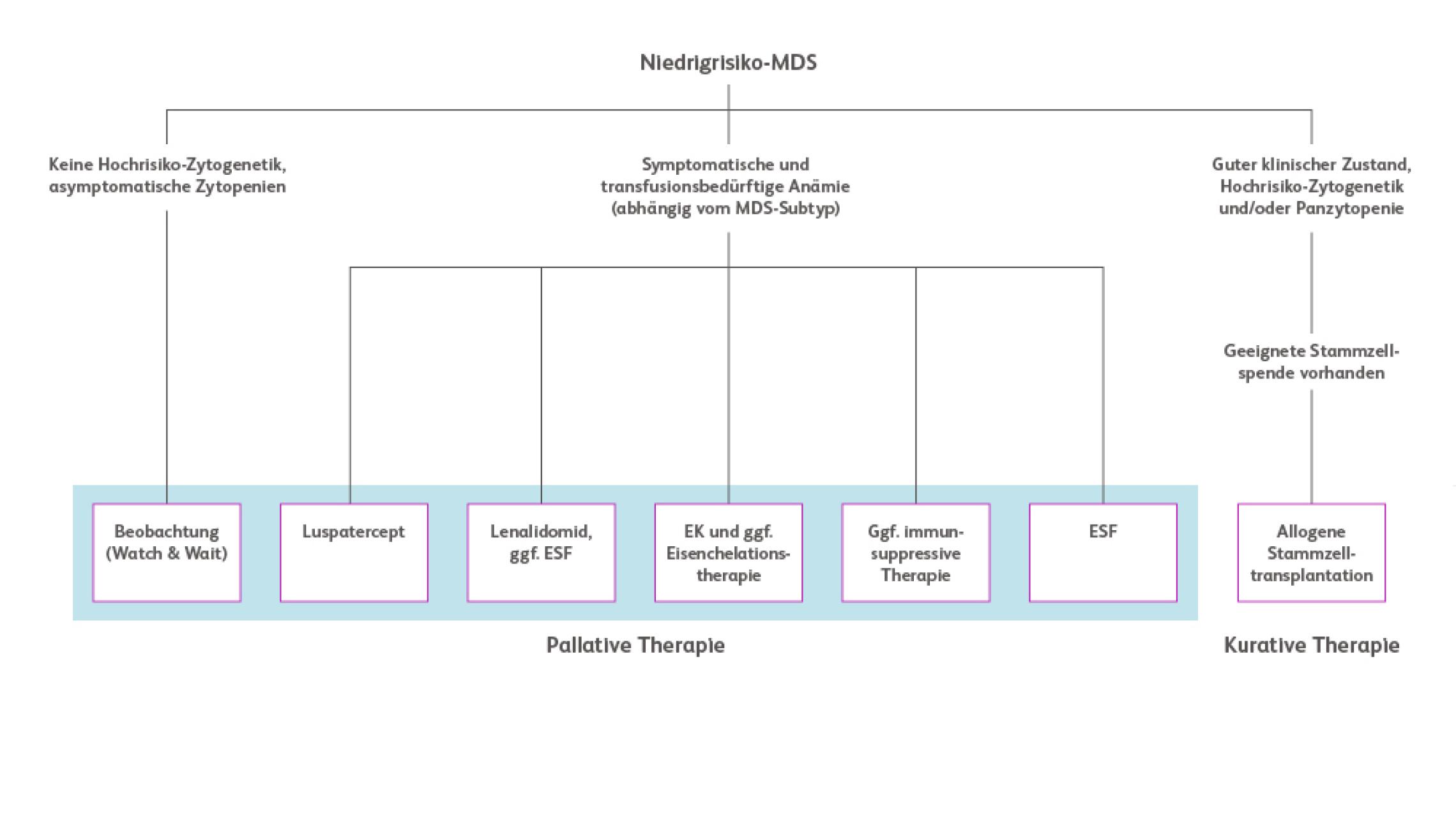 Bms Matrix Therapy : wIRA Therapy for acute wound healing and ...